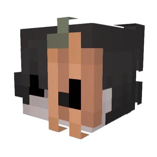 SAATHI05 Minecraft avatar head, 3D render