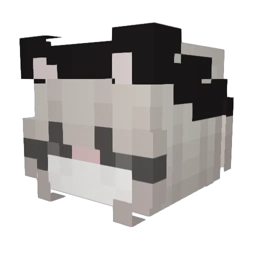 SADASJIAFSDA Minecraft avatar head, 3D render