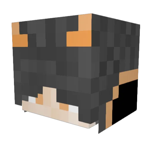 SADID_ Minecraft avatar head, 3D render