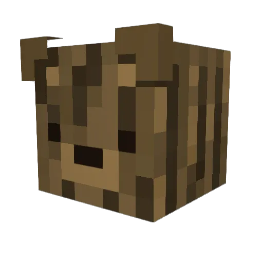 SADSANDWICHX Minecraft avatar head, 3D render