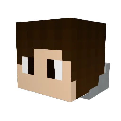 SADU1 Minecraft avatar head, 3D render