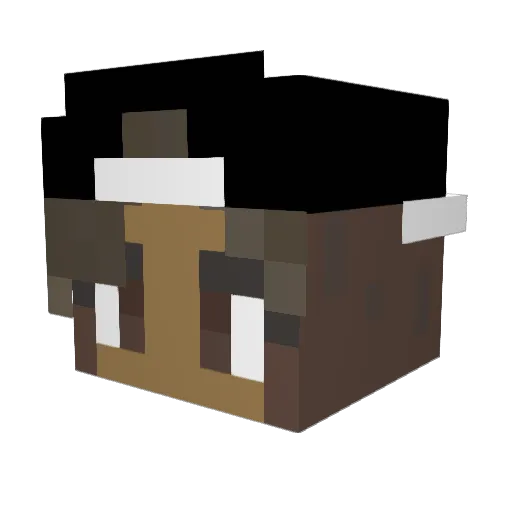 SAF_SAF Minecraft avatar head, 3D render