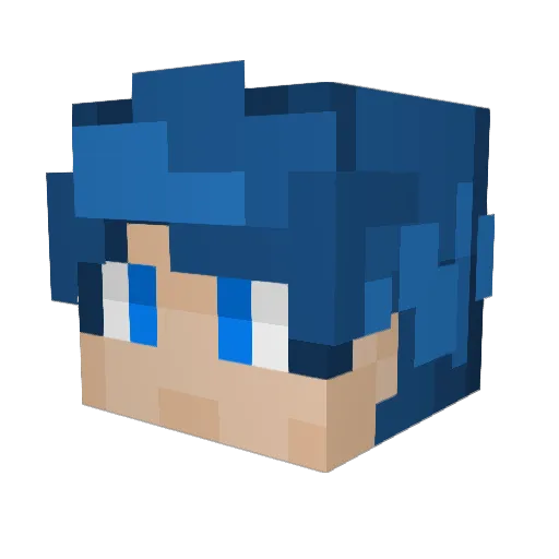 SAGERRETT Minecraft avatar head, 3D render