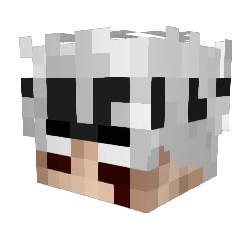 SAGOSS Minecraft avatar head, 3D render