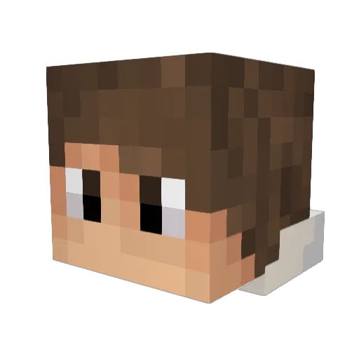 SAI46 Minecraft avatar head, 3D render