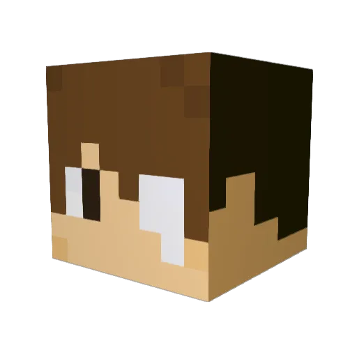 SAIDEN_PLAYER Minecraft avatar head, 3D render