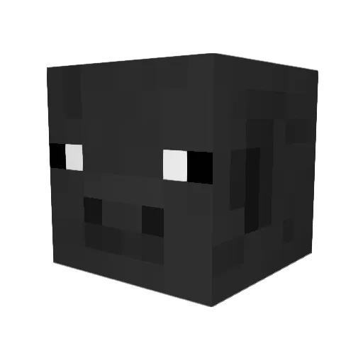 SAIL_2009 Minecraft avatar head, 3D render