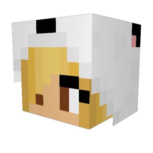 SAINTSQB3ELLIS Minecraft avatar head, 3D render