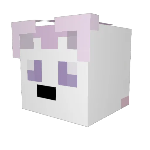 SAKNEplus Minecraft avatar head, 3D render