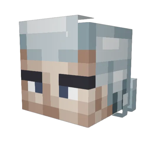 SALAMANDER662 Minecraft avatar head, 3D render