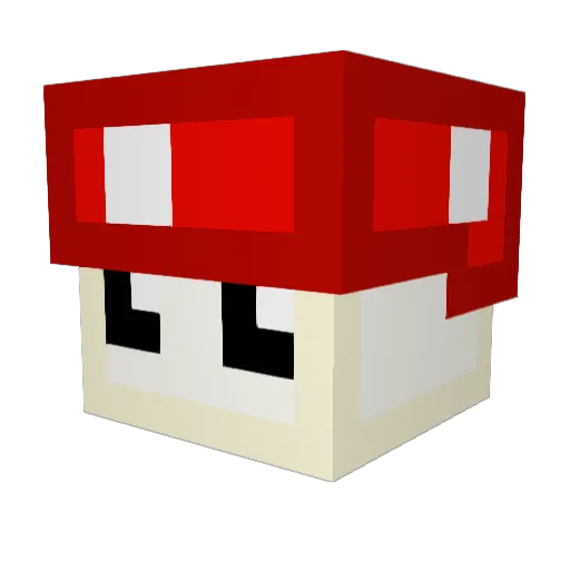 SALICZKA Minecraft avatar head, 3D render