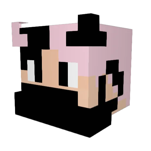 SALOULE Minecraft avatar head, 3D render