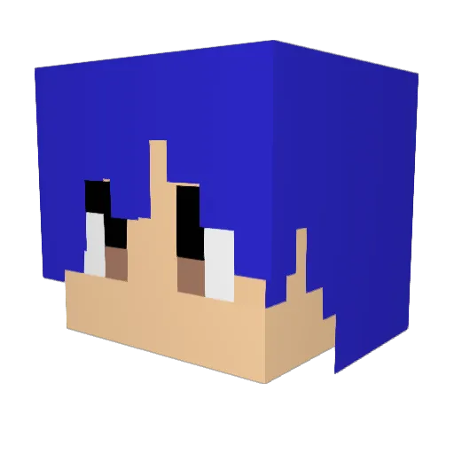 SALPIn02 Minecraft avatar head, 3D render
