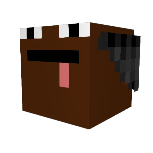 SALSINATSKUCF Minecraft avatar head, 3D render