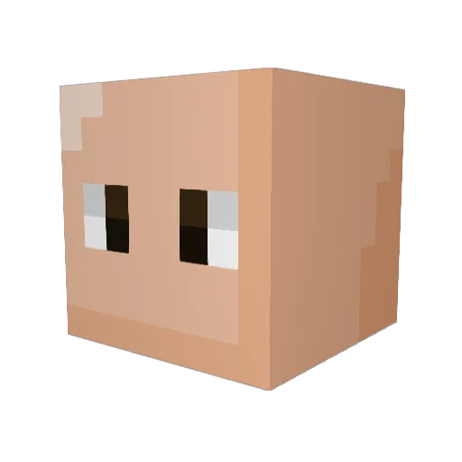 SALTANAT00 Minecraft avatar head, 3D render