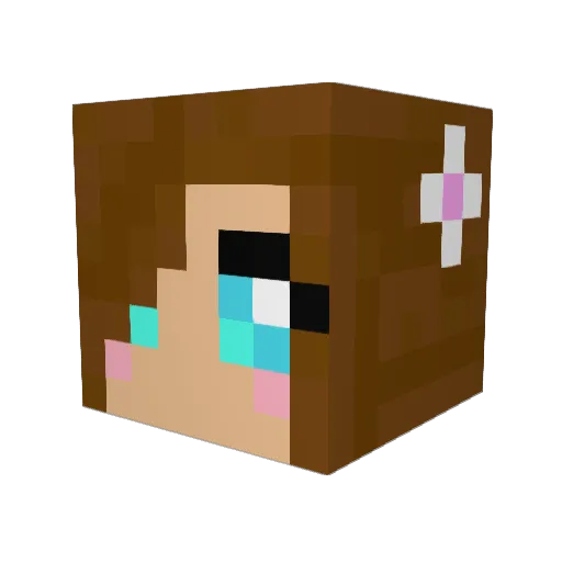 SALTLOVER Minecraft avatar head, 3D render