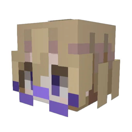 SALTYWOUND Minecraft avatar head, 3D render