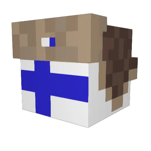 SALT_MK Minecraft avatar head, 3D render