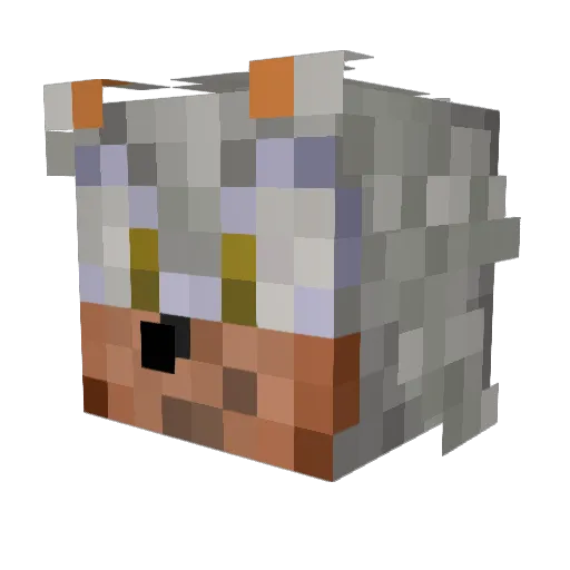 SAME33 Minecraft avatar head, 3D render