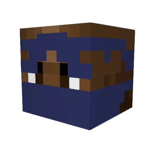 SAMIR_CRIPS Minecraft avatar head, 3D render