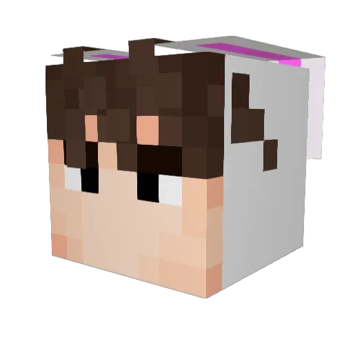 SAMY4689 Minecraft avatar head, 3D render