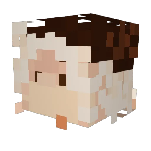 SANDORAmix Minecraft avatar head, 3D render