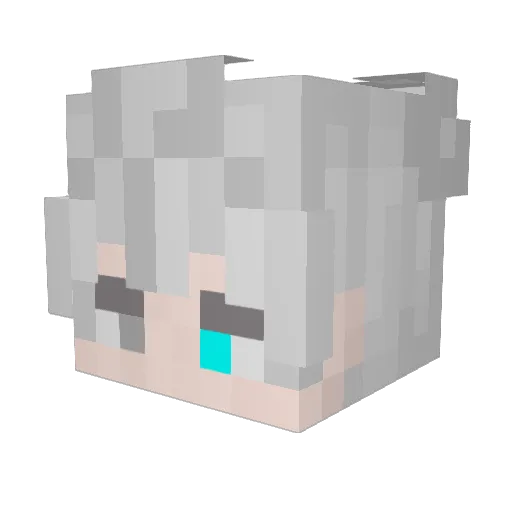 SANEEEES Minecraft avatar head, 3D render