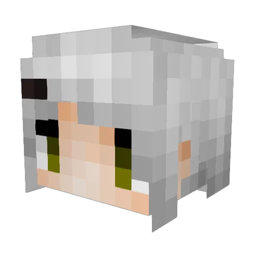 SANNNLEO Minecraft avatar head, 3D render