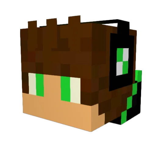 SANNSUNG Minecraft avatar head, 3D render