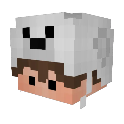 SANO__SAN Minecraft avatar head, 3D render