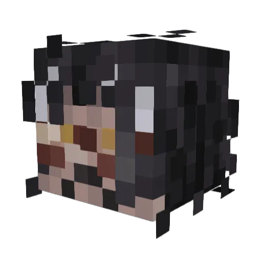 SANTA2334 Minecraft avatar head, 3D render