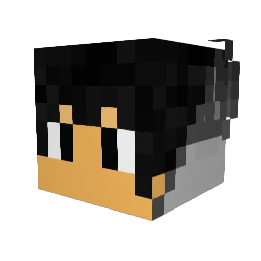 SANTOS333 Minecraft avatar head, 3D render
