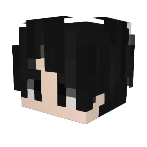 SANX1M Minecraft avatar head, 3D render