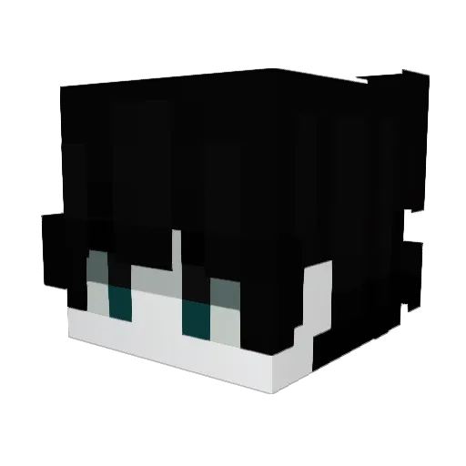 SAN_R Minecraft avatar head, 3D render