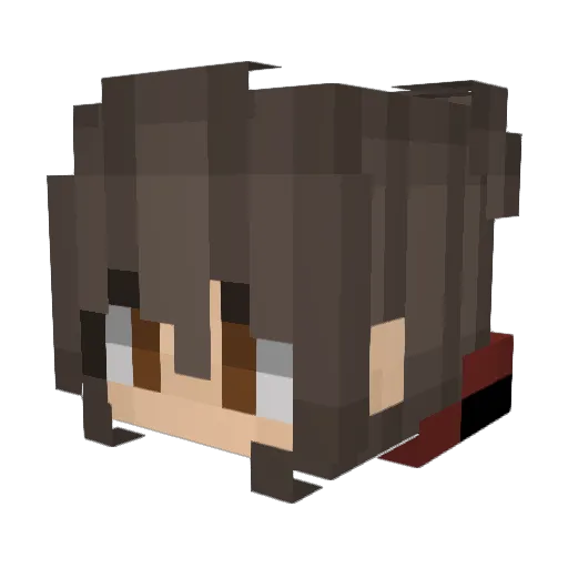 SAONAY Minecraft avatar head, 3D render