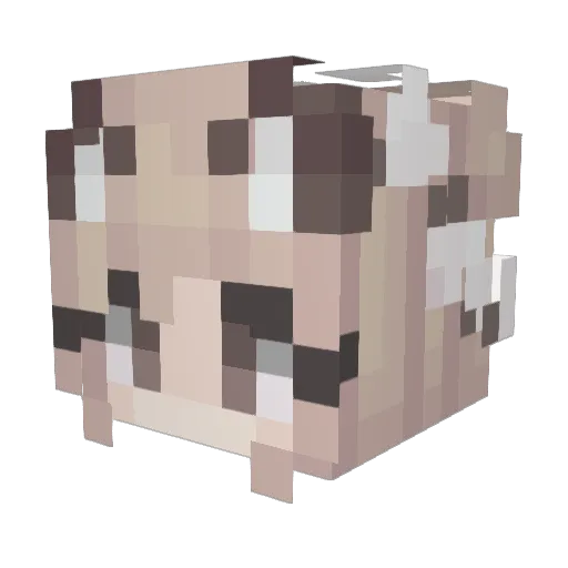 SAO_Schmidl Minecraft avatar head, 3D render