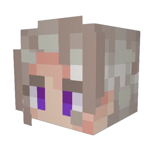 SAPOKTM Minecraft avatar head, 3D render