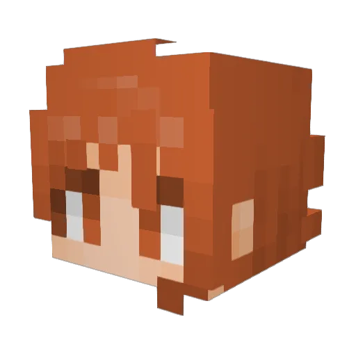 SARDENYA Minecraft avatar head, 3D render