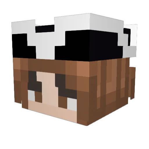 SARJ2010 Minecraft avatar head, 3D render