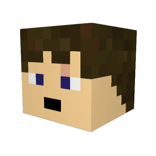 SARL16 Minecraft avatar head, 3D render