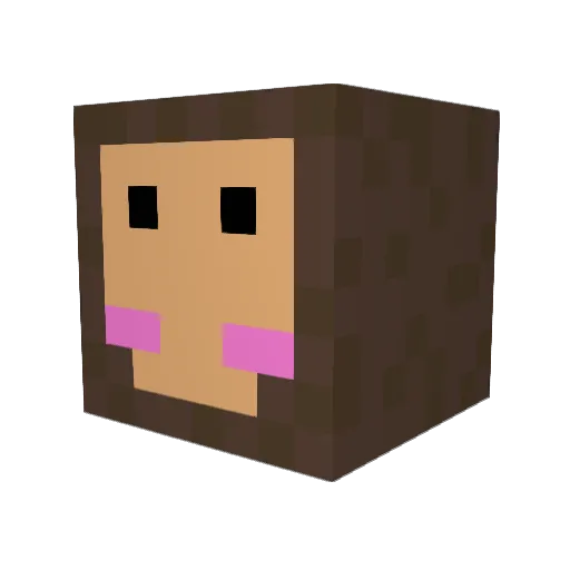 SARUSUKE0109 Minecraft avatar head, 3D render