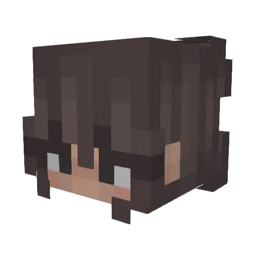 SAS1010 Minecraft avatar head, 3D render