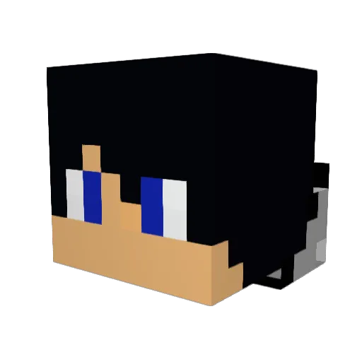 SASBER Minecraft avatar head, 3D render