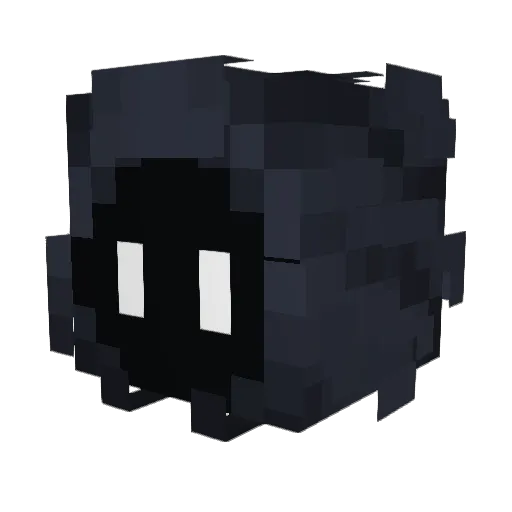 SASIN__ Minecraft avatar head, 3D render