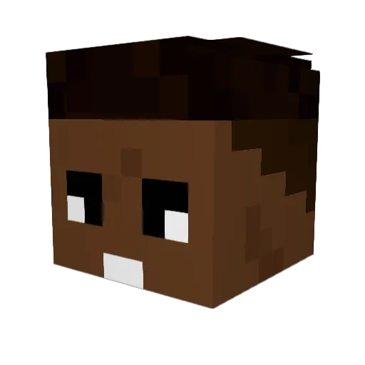 SAT04 Minecraft avatar head, 3D render
