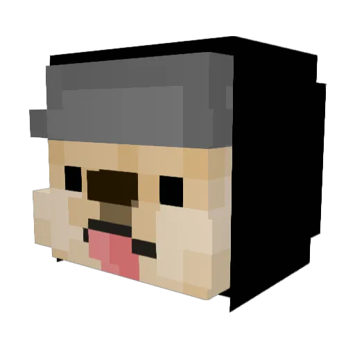 SATA19P Minecraft avatar head, 3D render