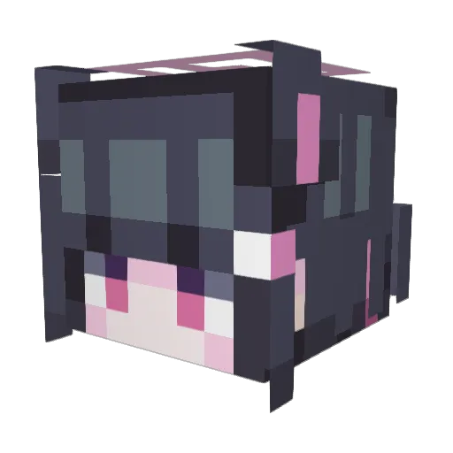 SAUBURGER Minecraft avatar head, 3D render