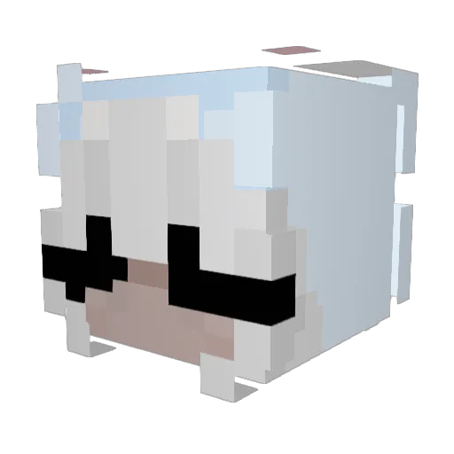 SAUFT Minecraft avatar head, 3D render