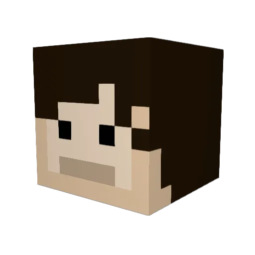 SAUSG Minecraft avatar head, 3D render