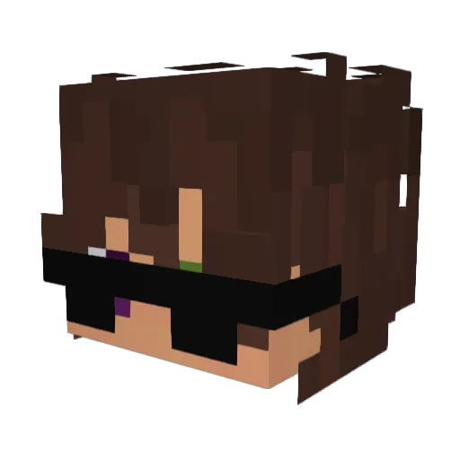 SAV4T3 Minecraft avatar head, 3D render